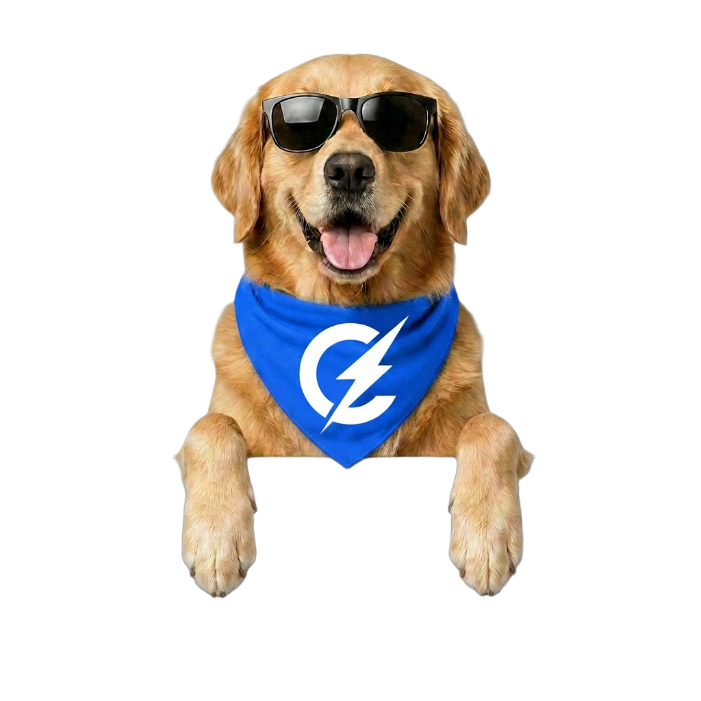 Bolt the golden retriever peeking over the search card, wearing a blue ConnectSIM bandana
